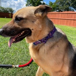 Meet your Posher, Holly